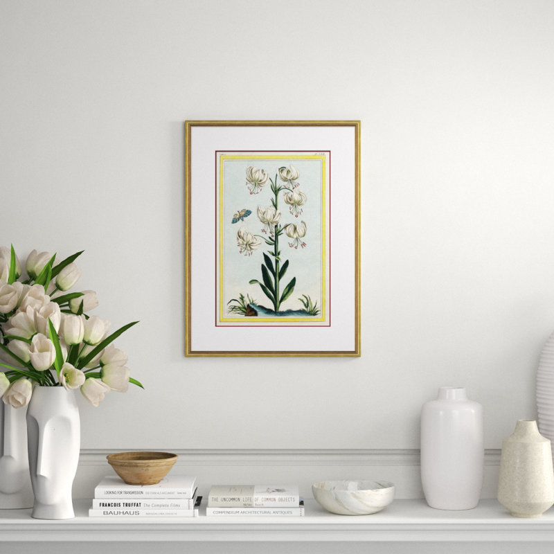 Botanical Giclee Print by Auguster Reger