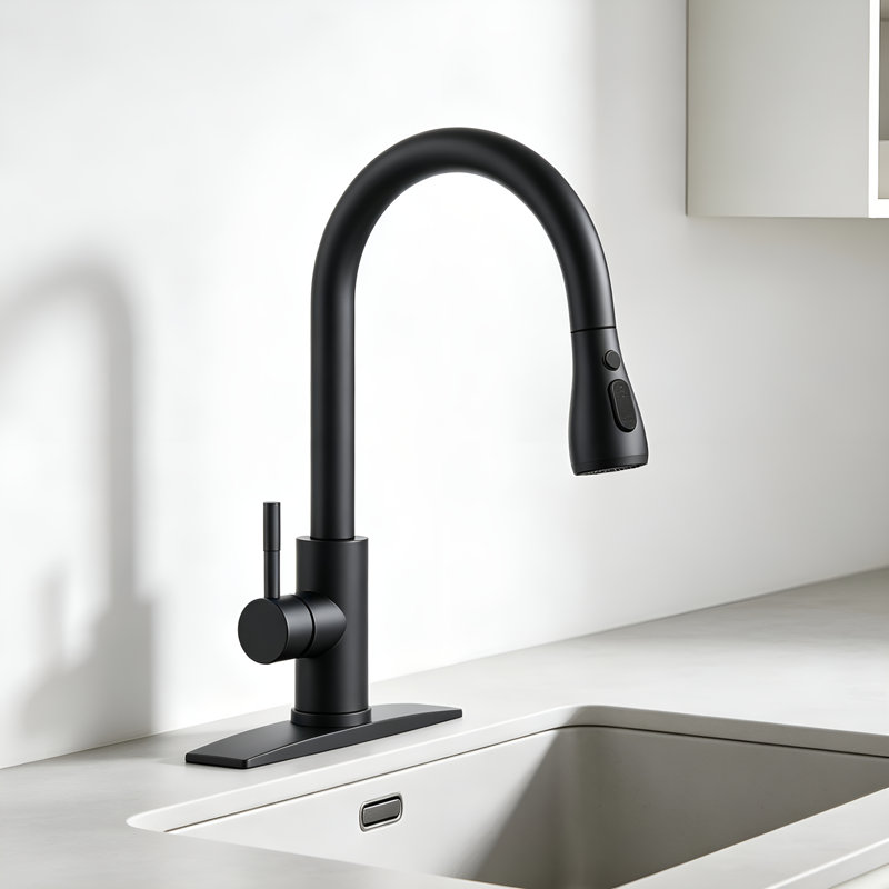 Robinet de cuisine monocommande à bec haut extractible en acier inoxydable, Matte Black