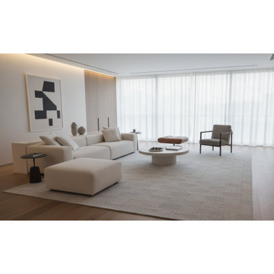 Prisni Hand Tufted Rectangle Indoor Area Rug in Light Grey