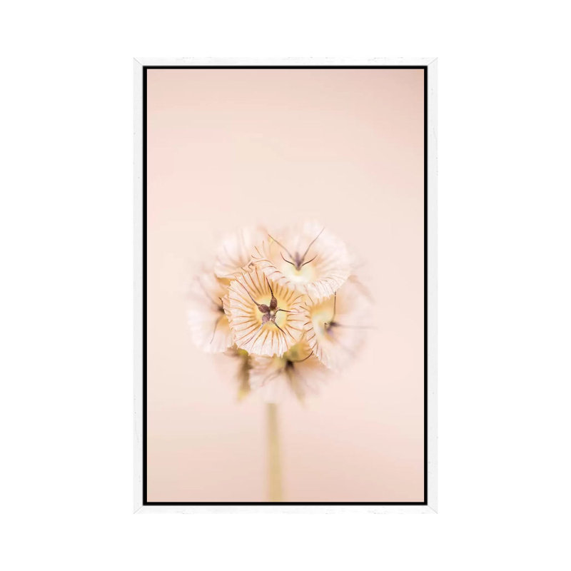Bleach Blonde II 1 Piece Wall Art on Canvas, 66.04 cm H x 45.72 cm W, White Framed