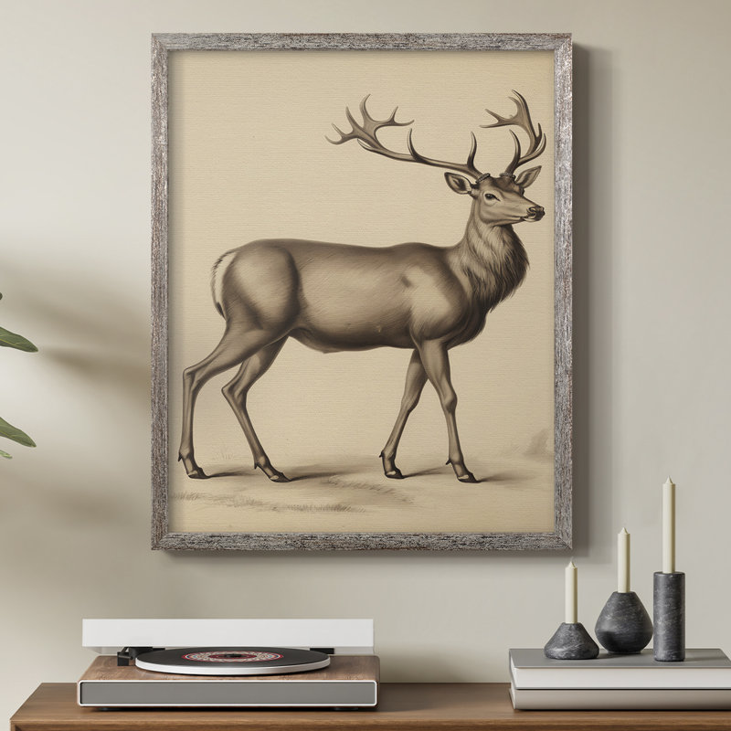 «Vintage Animal Print», reproduction encadrée en bois massif, H 15 po x l 12 po