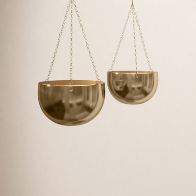 Benally 8" Hanging Planter