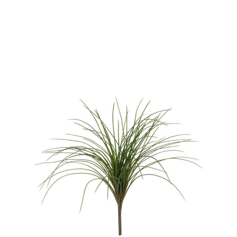 Jet d’herbe