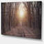 «Forest Pathway View at Sunset», reproduction de photo sur toile tendue-19240529