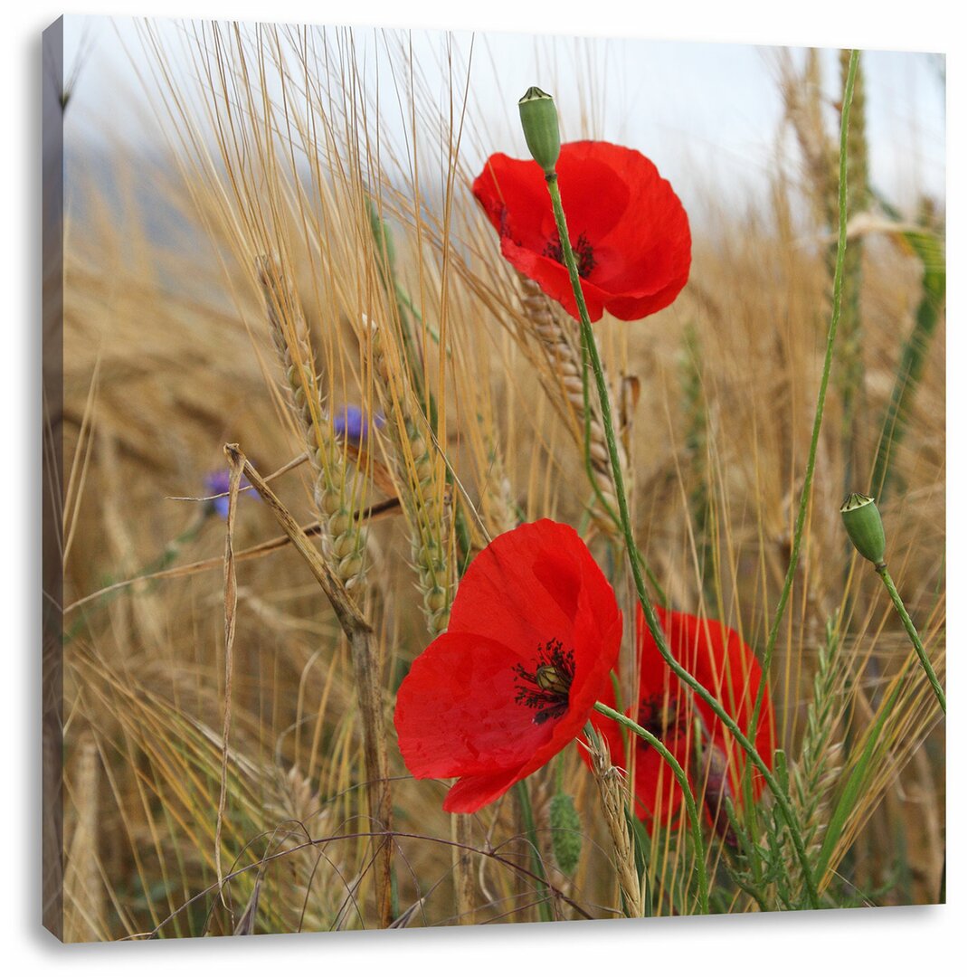 Leinwandbild Mohnblumen im Getreidefeld