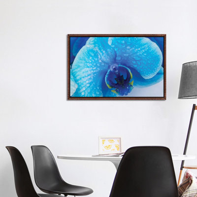 Blue Orchid III 1 Piece Wall Art on Canvas