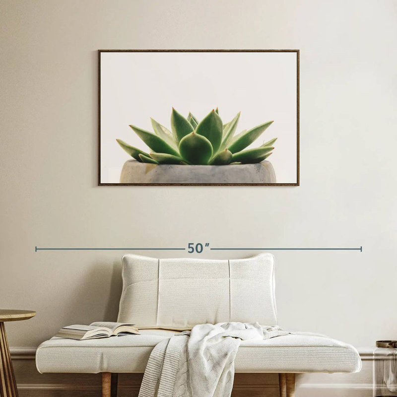 Plante grasse en pierre, 37 po x 25 po, Cadre flottant en noyer