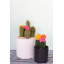 Jardinières en pot-13457258-13457239