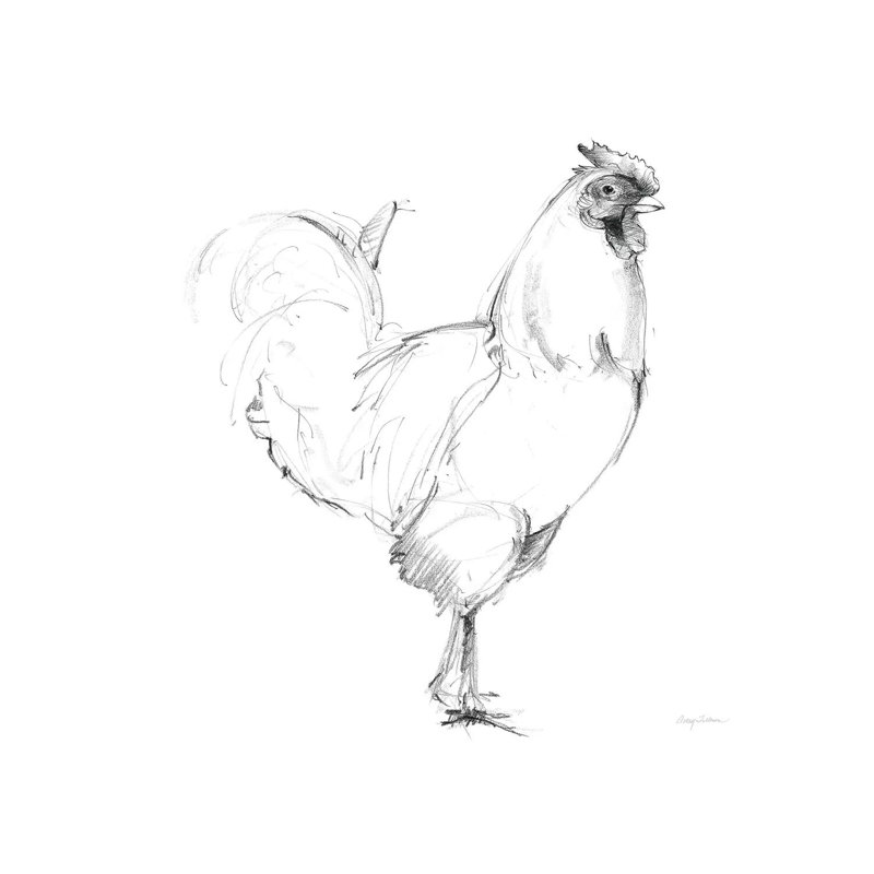 Rooster II Dark Square 1 Piece Wrapped Canvas Wall Art, 30.48 cm H x 30.48 cm W