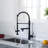 Fapully Pull Down Kitchen Faucet