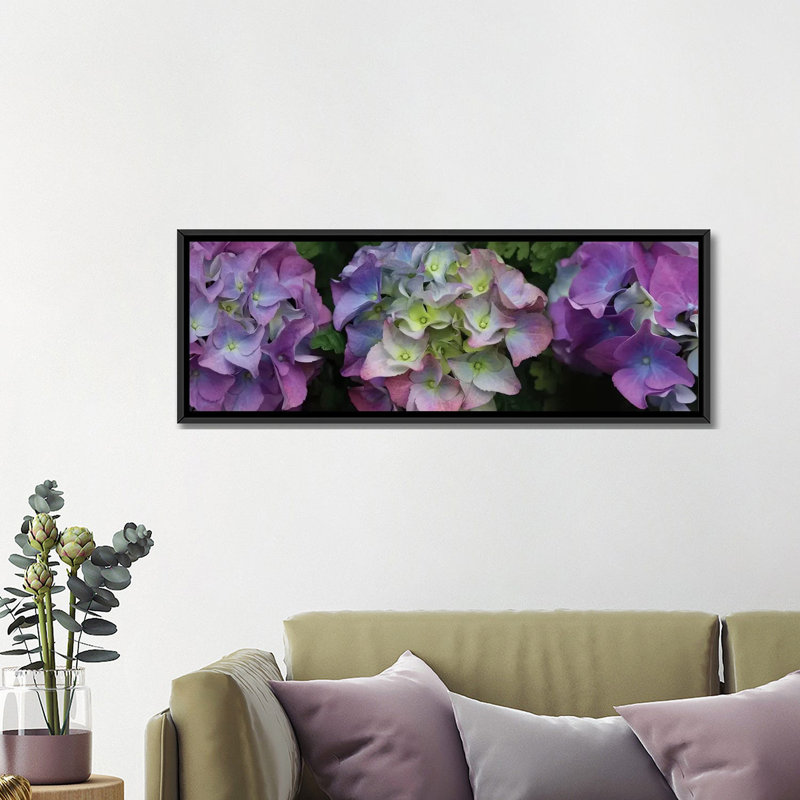 «Close-Up of Hydrangea Flowers II», reproduction de photo sur toile, H 16 po x l 48 po x P 1,5 po, Toile avec cadre noir