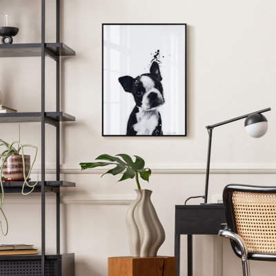Boston Terrier - cadre photo, impression sur verre