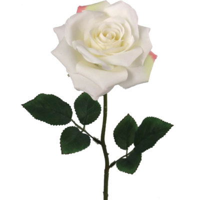 Tige de roses