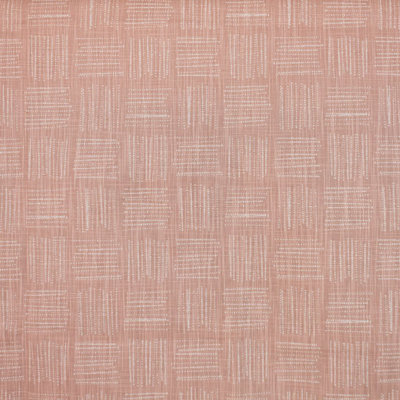 Suite Dot to Dot 100% Cotton Fabric