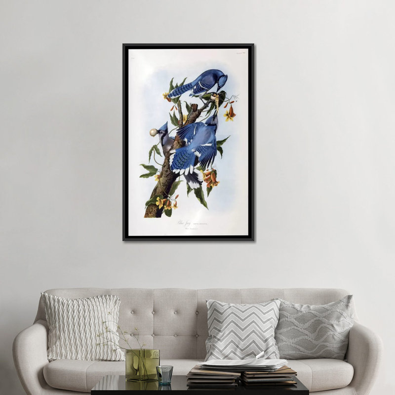 «Blue Jay» par John James Audubon, reproduction d'art sur toile, H 48 po x l 32 po x P 1,5 po, Toile avec cadre noir