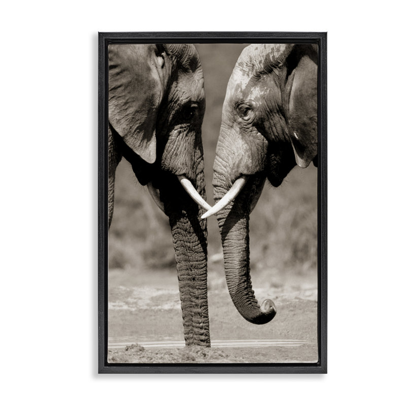 Paire d'éléphants réconfortants, Cadre flottant noir de jais, H 25 po x l 17 po