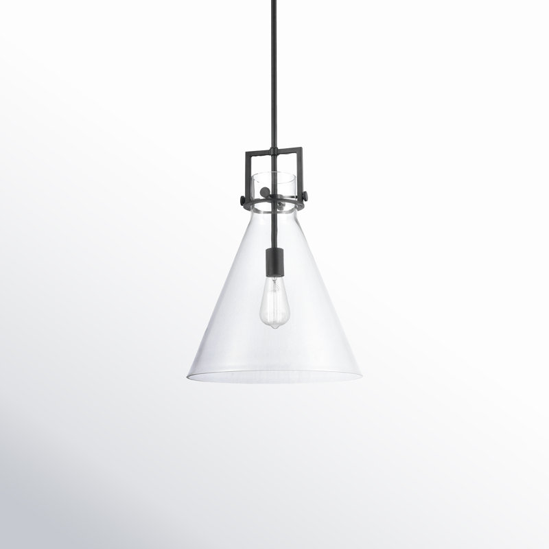 Luminaire suspendu avec tige 30 po Coterie, Transparent, H 19,13 po x l 14 po x P 14 po, Noir mat