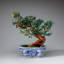 Genuine Green Aventurine Gemstone Bonsai Tree in Square Porcelain Pot (10.5")