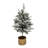 Winter Frosted Tree With Gold Stand