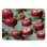 Tapis de bain rouge pommes rouge