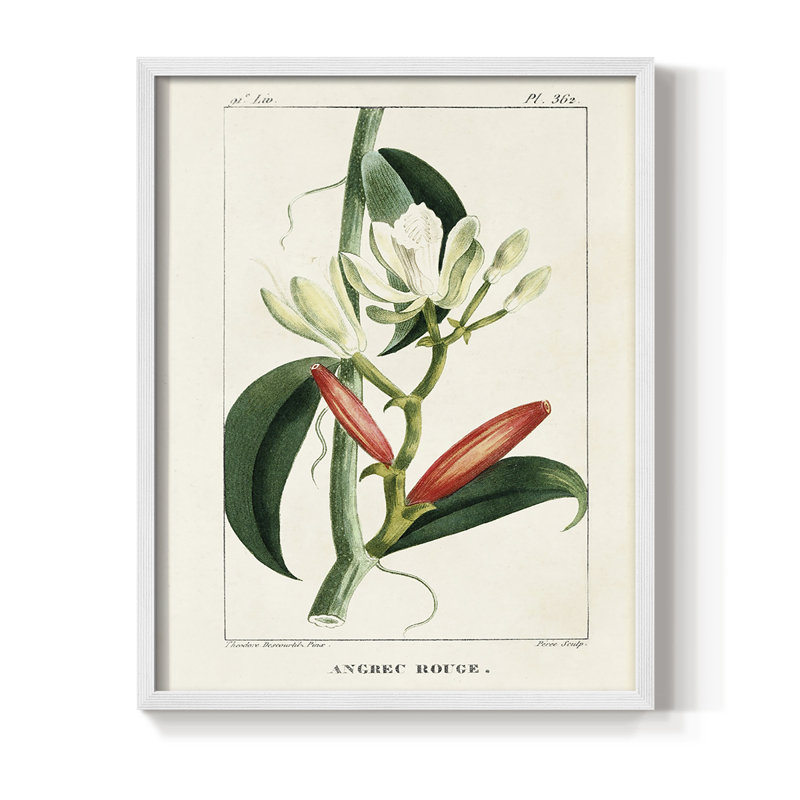 Turpin Tropical Botanicals, reproduction d'art encadrée - bois massif, H 10 po x l 8 po, Blanc