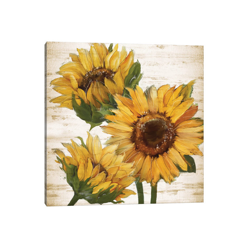 Sunflower Summer I by Conrad Knutsen - Wrapped Canvas Painting, 45.72 cm H x 45.72 cm W x 3.175 cm D
