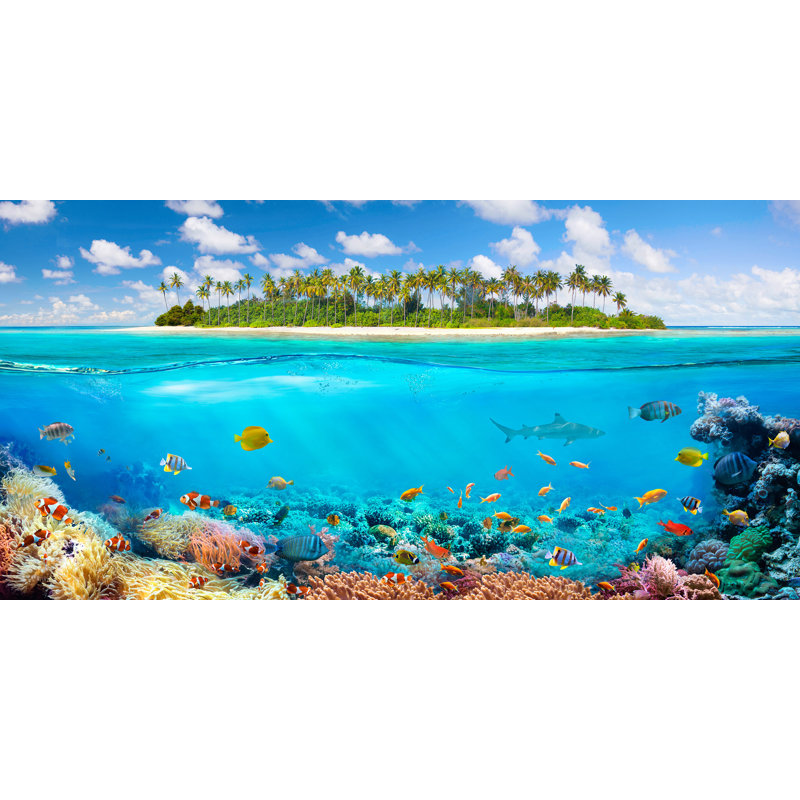 The Coral Reef - Wrapped Canvas Print, 50cm H x 100cm W x 4cm D