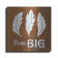 «Dream Big» par Britt Hallowell-858492775