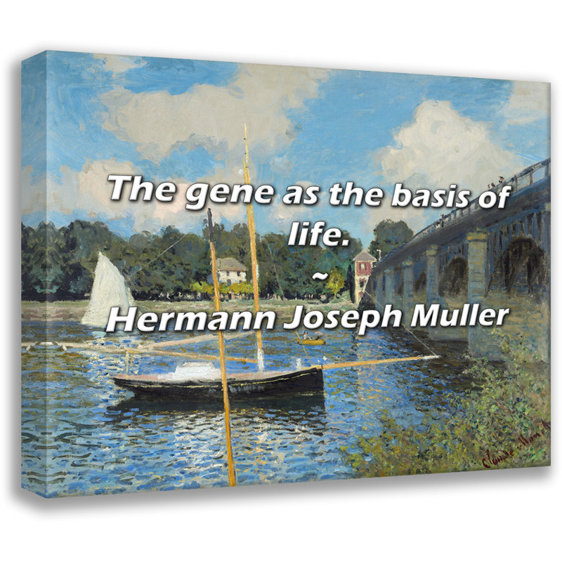 Citation d'Artsy «Le gêne comme base de la vie». Toile tendue par Hermann par Joseph Muller, H 28 po x l 40 po
