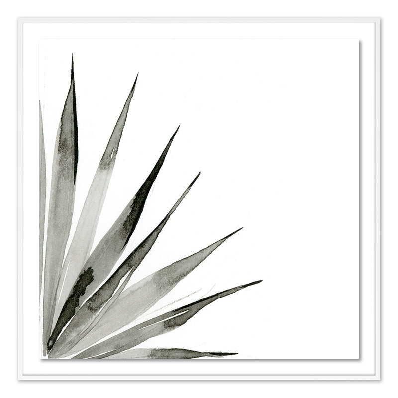 Agave II Print by Jess Engle, White, 40" H x 40" W x 2.5" D