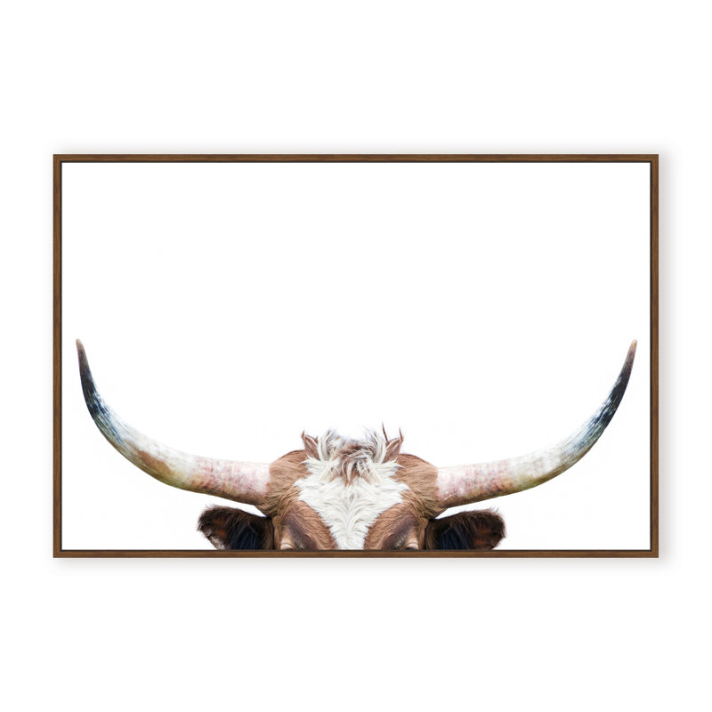 Nature Inspired Peeking Longhorn Cow by  - Picture Frame Photograph on Paper, 32" H x 48" W x 1.125" D, Framed Print, Brown