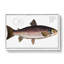 Brown Trout Fish by M.E. Bloch - Wrapped Canvas-55317045