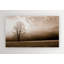 Photographie sur toile tendue-22499535