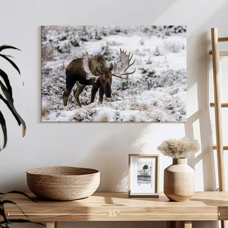 Alaskan Winter Moose, 16" H x 24" W