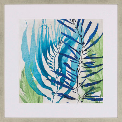 «Sea Nature I» par Miller - Reproduction d'art sur papier encadrée