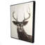 Abstrait cerf-119954973
