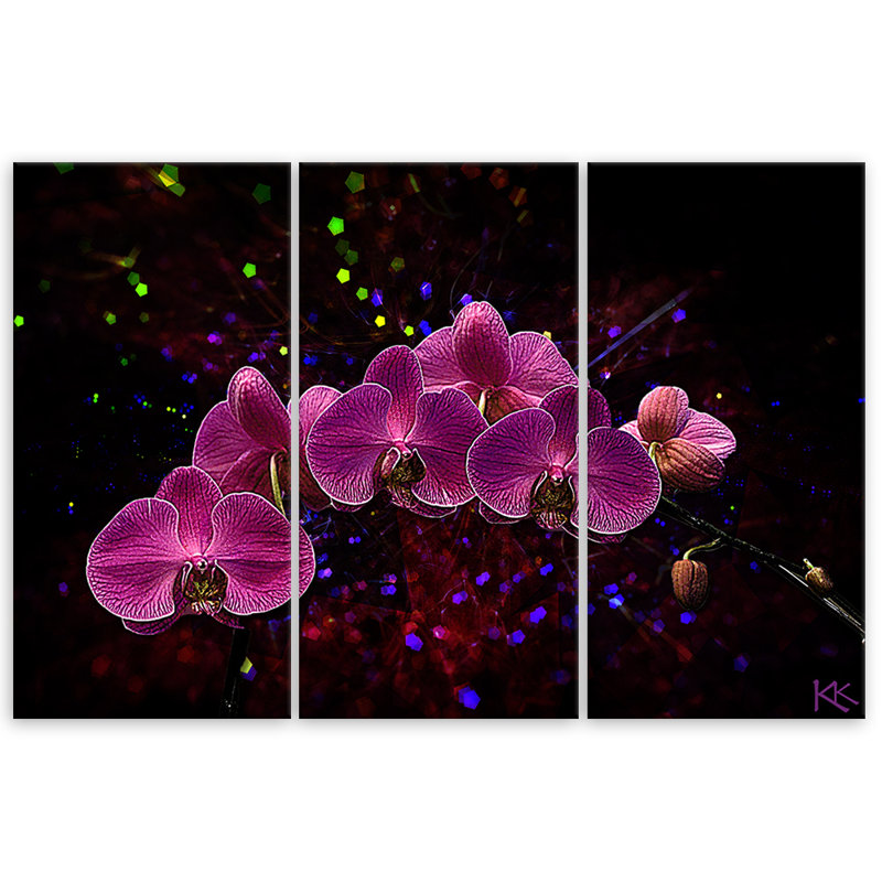 Orchid On A Dark Background - 3 Piece No Frame Set on Canvas