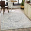 Oriental Area Rug-582642530