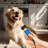 200W Pet Grooming Shaver Clipper Shears