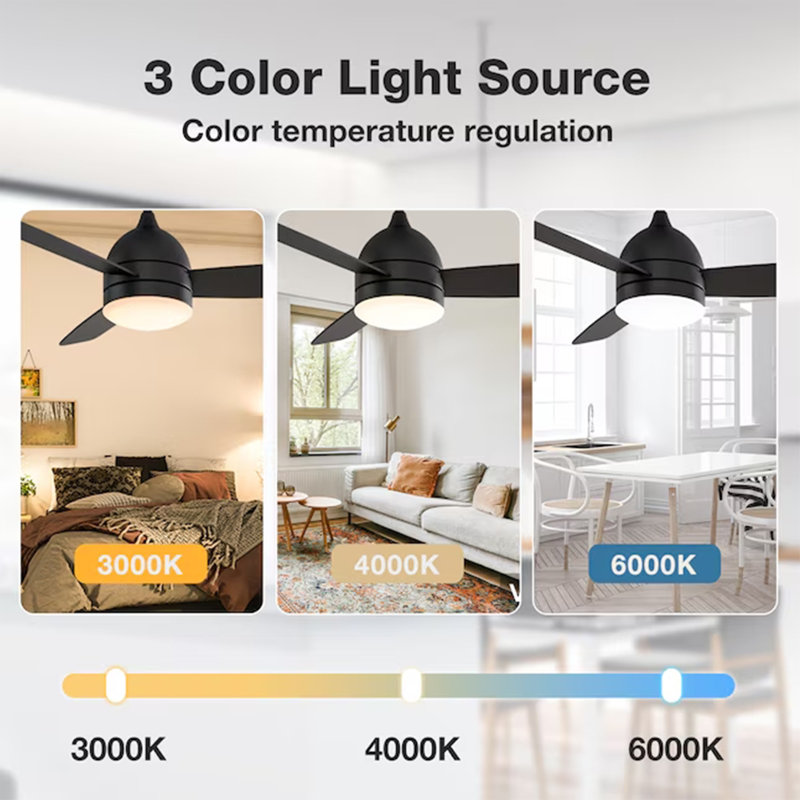 Demy 48'' Ceiling Fan with LED Lights and Remote Control 3-Blades