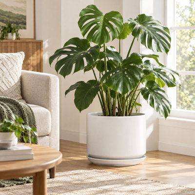 12 Inch White Ceramic Planter with Drainage Holes and Saucer