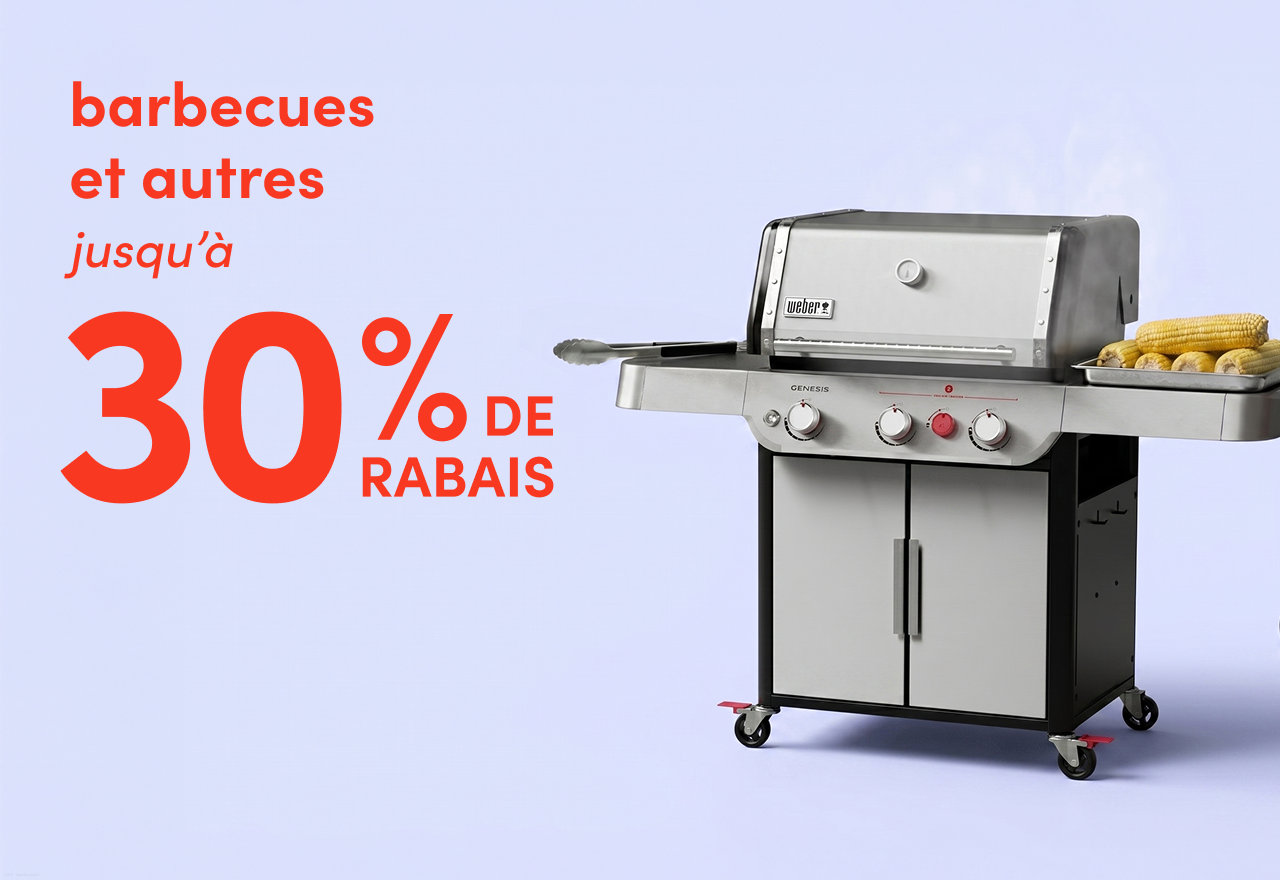 barbecues et autres en solde