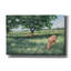  «Grazing» par Campbell Frost, art mural sur toile, 60 po x 40 po