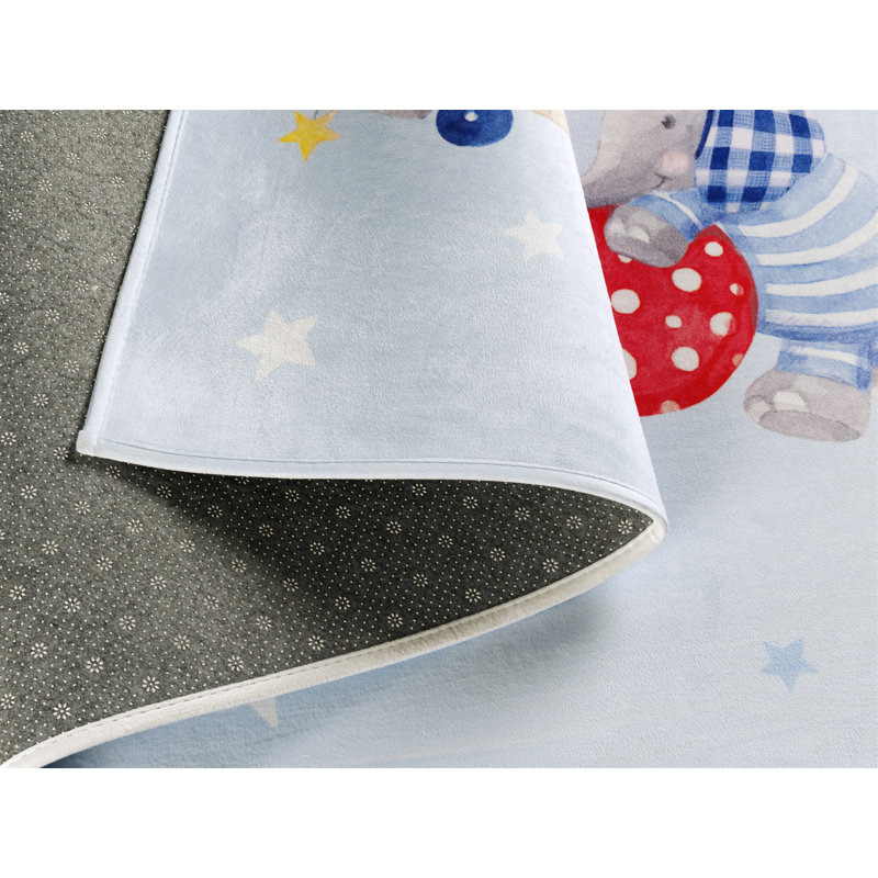 160cm X 100cm Area Rug