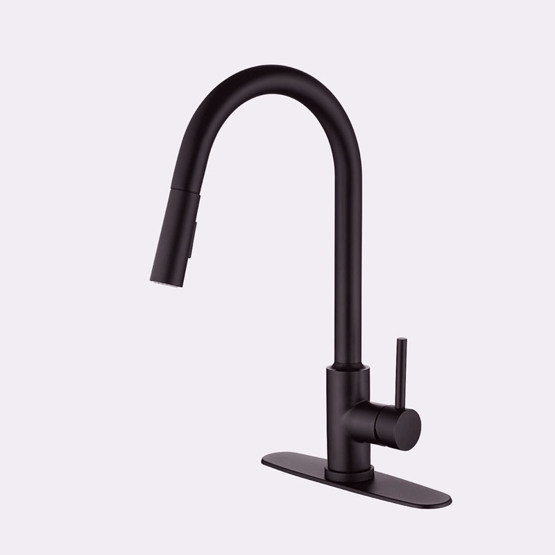 Kitchen Faucet With Pull Down Sprayer