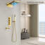 Ensemble de pomme de douche à DEL Fontana Modena Gold (FS135M)