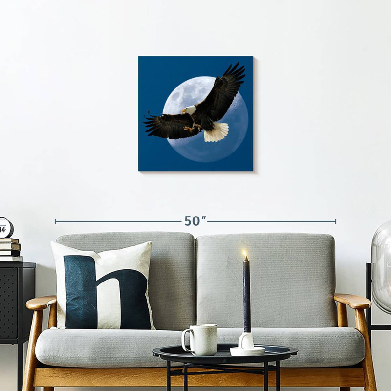 Crowle Midnight Bald Eagle
