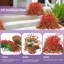 Faux fleurs artificielles suspendues-1228141131