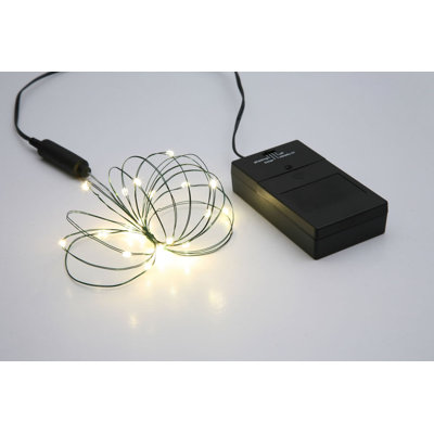 24 lumières de Noël multifonctionnelles DEL à piles - fil vert 7,9 pi
