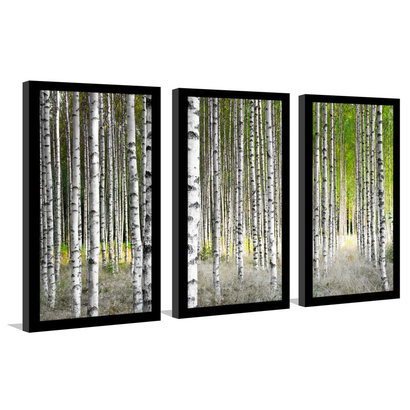 « bouleau trees », ensemble de 3 reproductions de photos encadrées, H 25,5 po x l 40,5 po x P 1 po